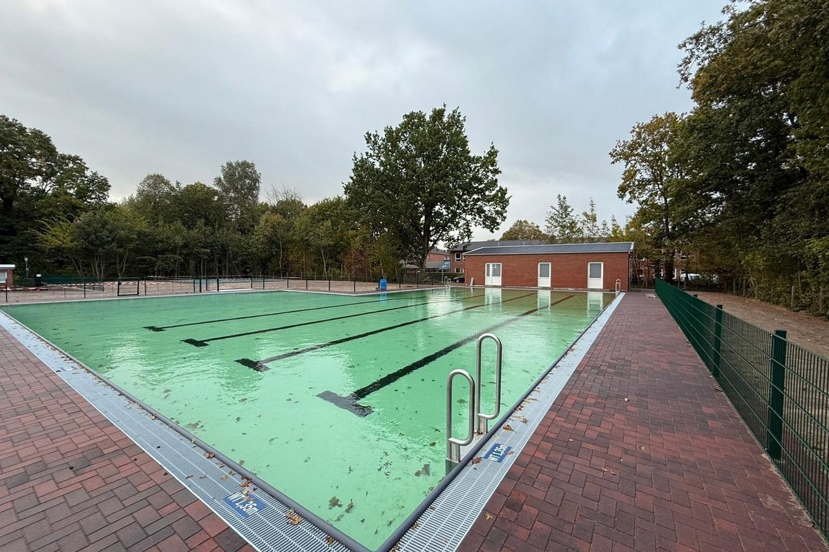 ein Schwimmbecken mit Bäumen im Hintergrund