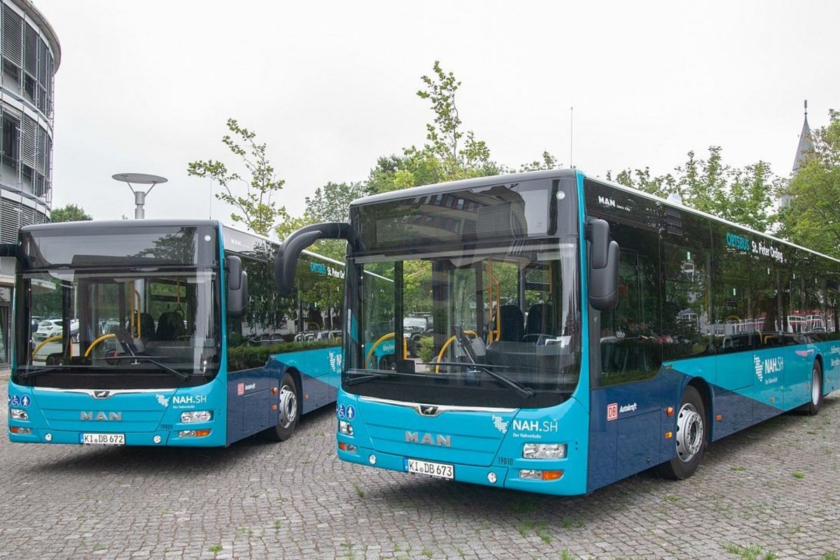 Zwei Blaue Lininbusse